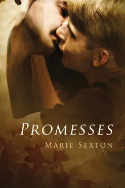 promesses imagen de la portada del libro