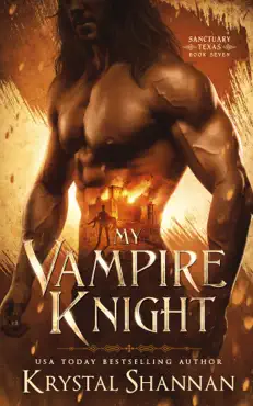 my vampire knight book cover image