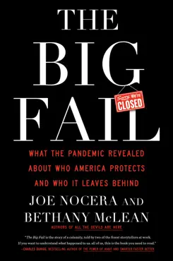 the big fail book cover image