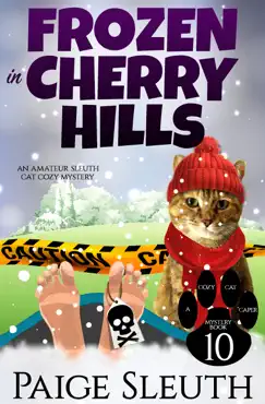 frozen in cherry hills book cover image