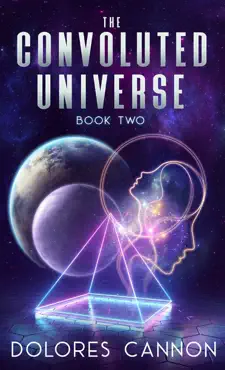 the convoluted universe book 2 book cover image