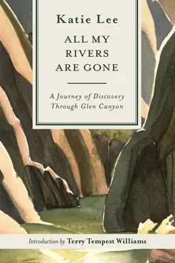 all my rivers are gone book cover image