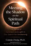 Meeting the Shadow on the Spiritual Path synopsis, comments