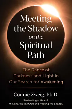 meeting the shadow on the spiritual path book cover image