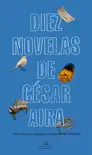 Diez novelas de César Aira sinopsis y comentarios