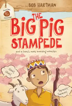 the big pig stampede book cover image