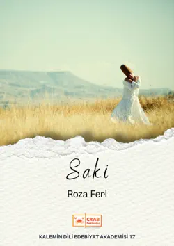 saki book cover image