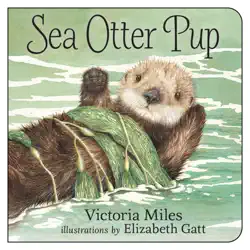sea otter pup book cover image