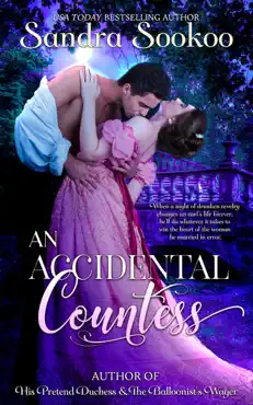 an accidental countess book cover image