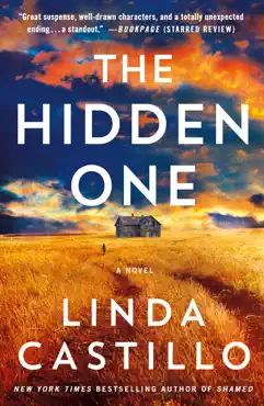 the hidden one book cover image
