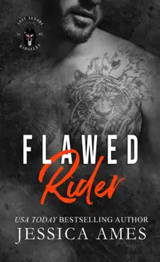 flawed rider book cover image