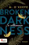 Broken Darkness: So vollkommen sinopsis y comentarios