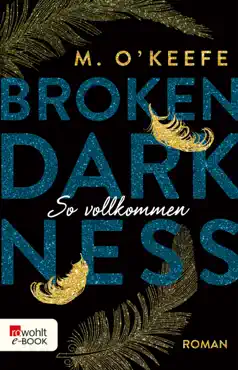 broken darkness: so vollkommen imagen de la portada del libro