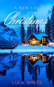a new life for christmas book cover image