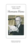 Hermann Hesse sinopsis y comentarios