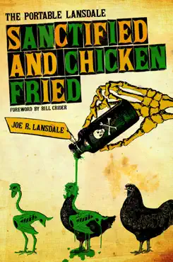 sanctified and chicken-fried book cover image