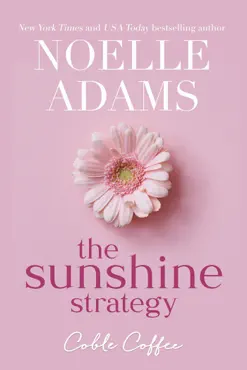 the sunshine strategy book cover image