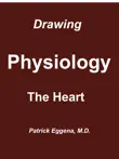 Drawing Physiology I. Heart synopsis, comments