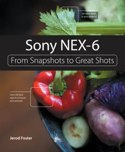 sony nex-6 book cover image