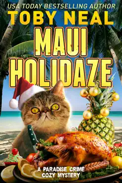 maui holidaze book cover image