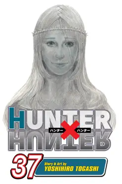 hunter x hunter, vol. 37 book cover image