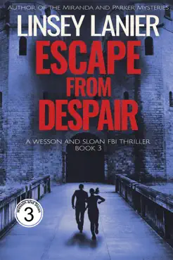 escape from despair book cover image