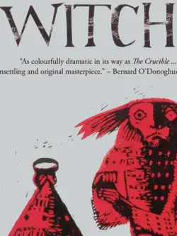 witch book cover image