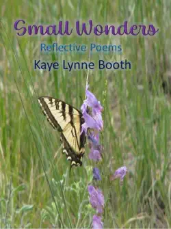 small wonders book cover image