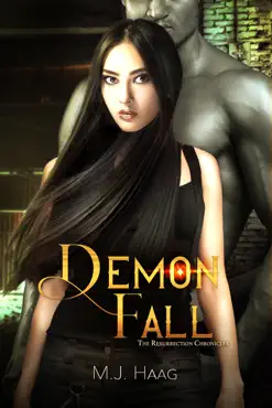 demon fall book cover image