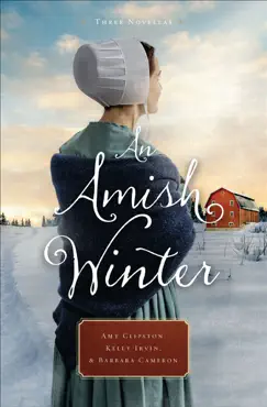 an amish winter book cover image
