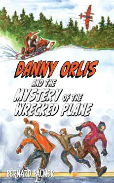 danny orlis and the mystery of the wrecked plane book cover image
