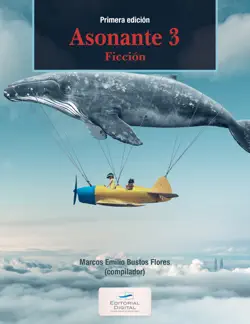 asonante 3 book cover image