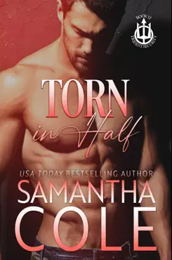 torn in half book cover image