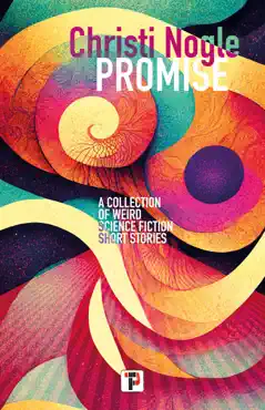 promise book cover image