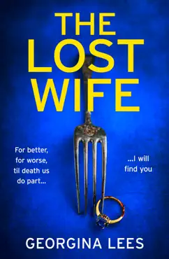 the lost wife book cover image