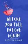 Before You Fall In Love Again synopsis, comments