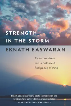 strength in the storm imagen de la portada del libro