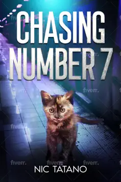 chasing number 7 book cover image