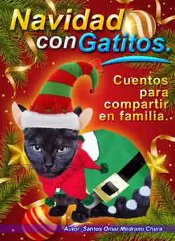 navidad con gatitos. cuentos para compartir en familia. book cover image