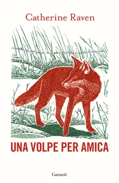 una volpe per amica book cover image