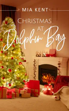 christmas at dolphin bay book cover image