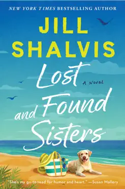 lost and found sisters book cover image