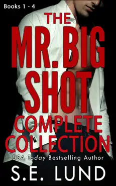 mr. big shot complete collection book cover image