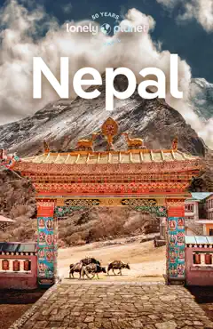 nepal 12 book cover image