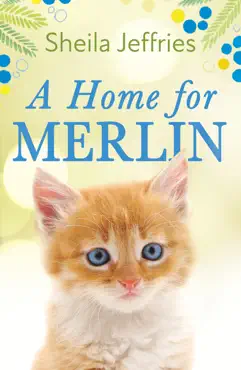 a home for merlin book cover image