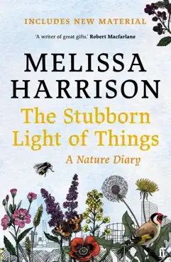 the stubborn light of things imagen de la portada del libro
