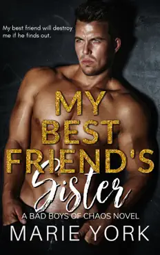 my best friend's sister book cover image