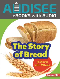 the story of bread book cover image