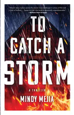 to catch a storm book cover image