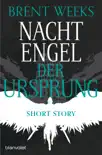 Nachtengel - Der Ursprung synopsis, comments